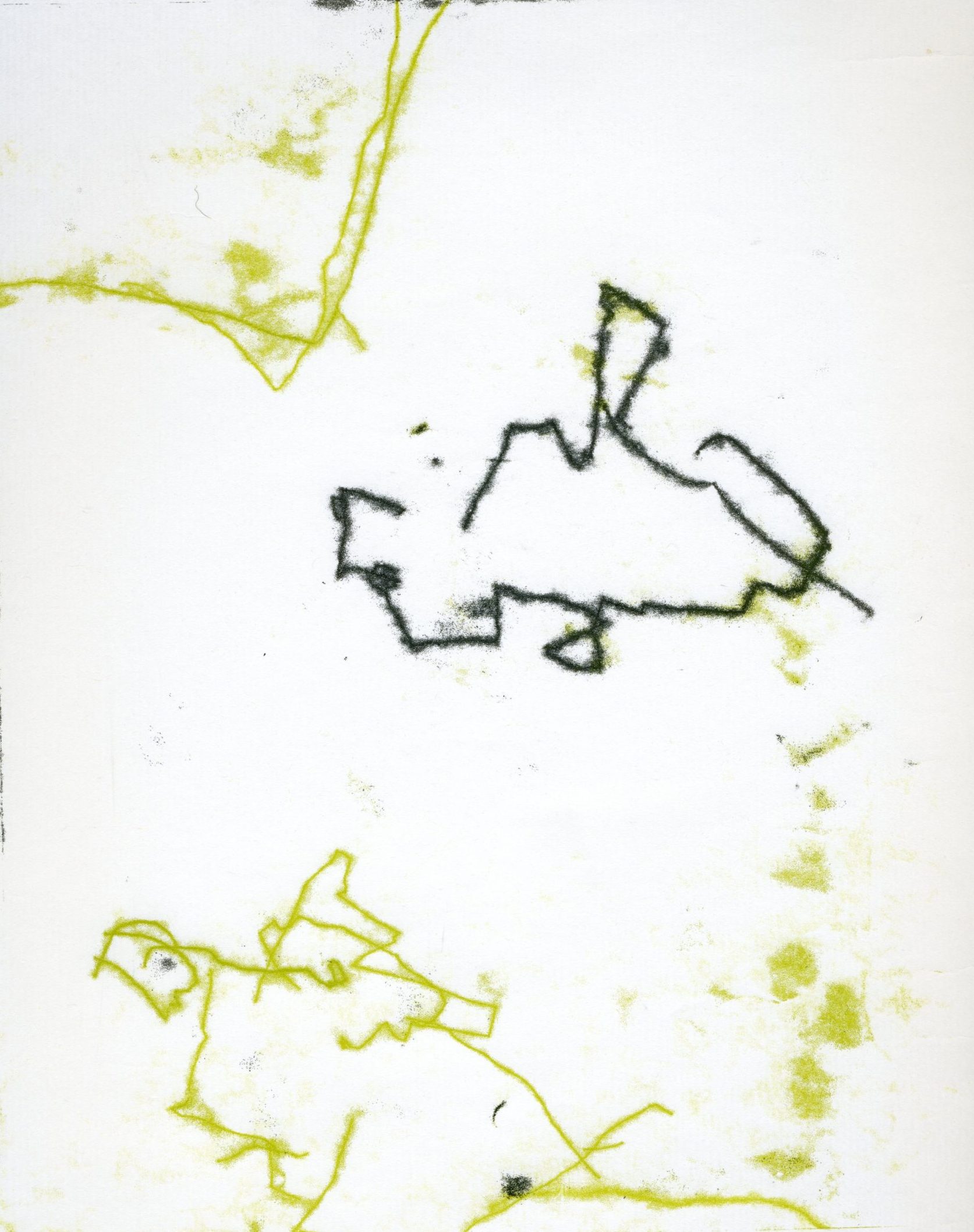 Trace Monotype from Plants | 1 Sunday afternoon | March 2026 - Image 2